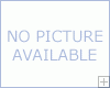 What is an IIPP?
