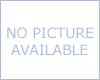 What is an IIPP?